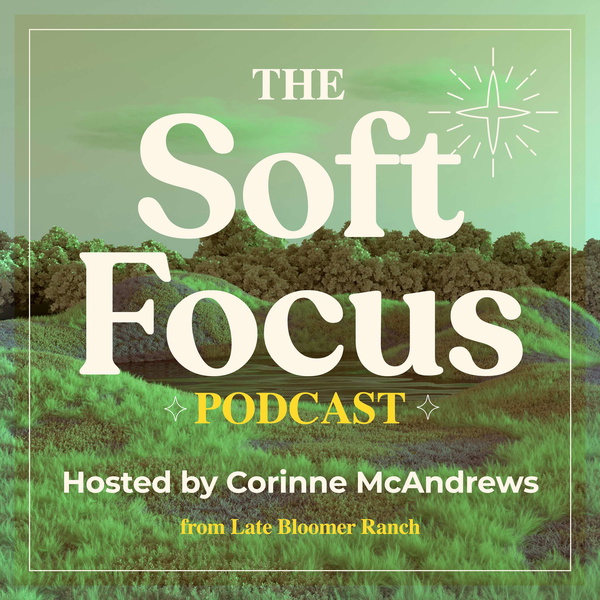 Artwork for The Soft Focus