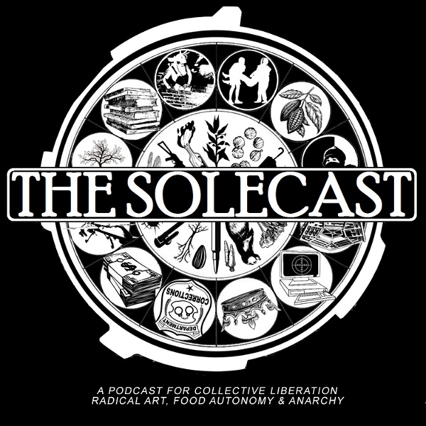 Artwork for The Solecast