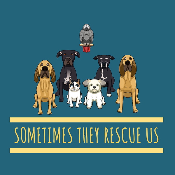 Artwork for The sometimes they rescue us Podcast