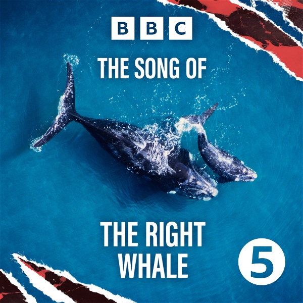 Artwork for The Song of the Right Whale