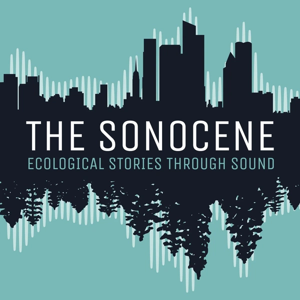 Artwork for THE SONOCENE