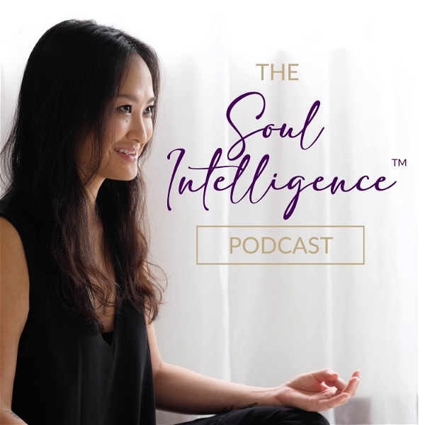 Artwork for The Soul Intelligence Podcast