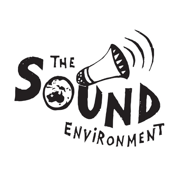 Artwork for The Sound Environment