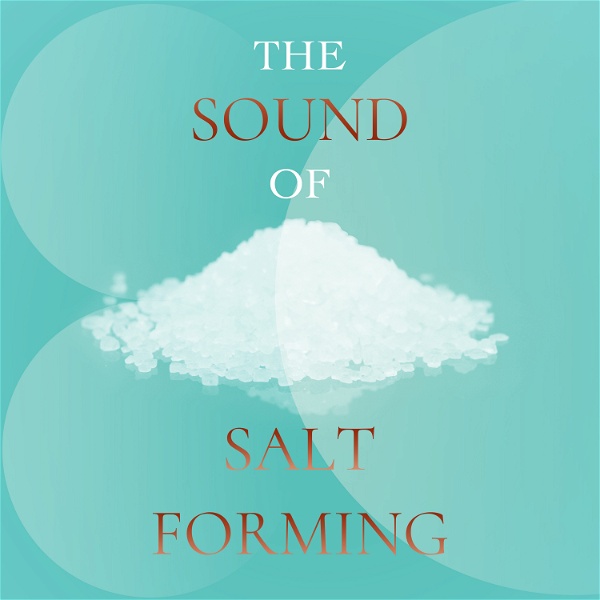Artwork for The Sound of Salt Forming
