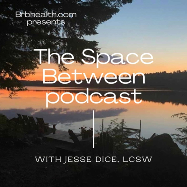 Artwork for The Space Between Podcast