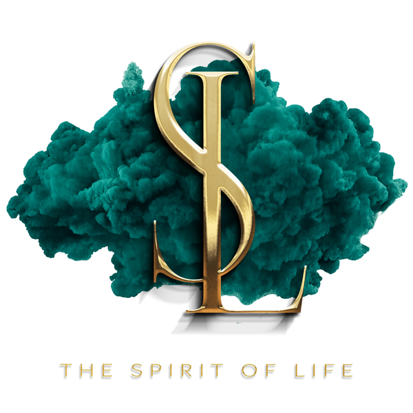 Artwork for The Spirit of Life in Ibiza