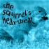 The Squirrel’s Heartbeat