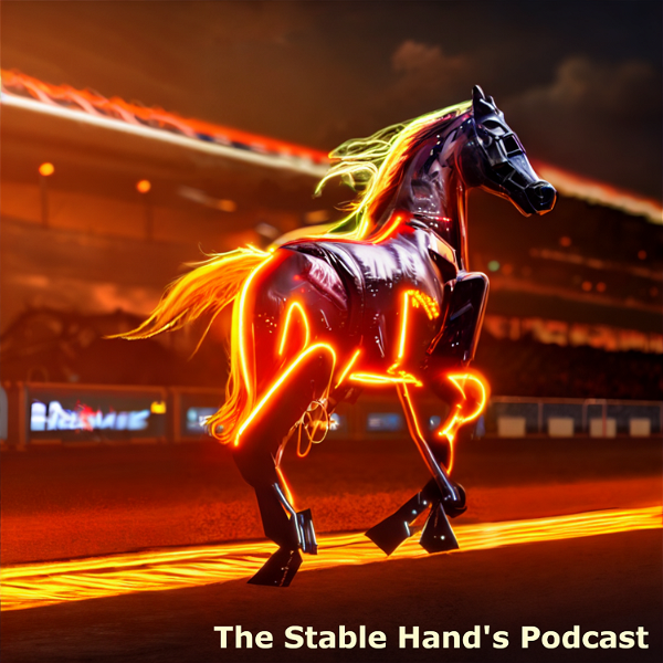 Artwork for The Stable Hands Podcast