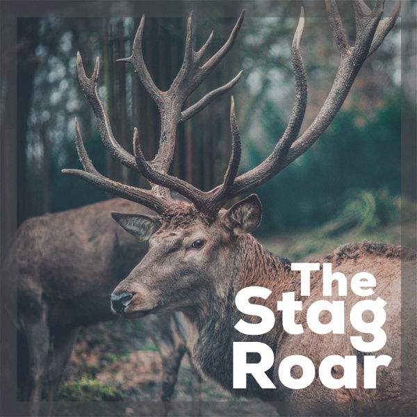 Artwork for The Stag Roar: Life Less Ordinary