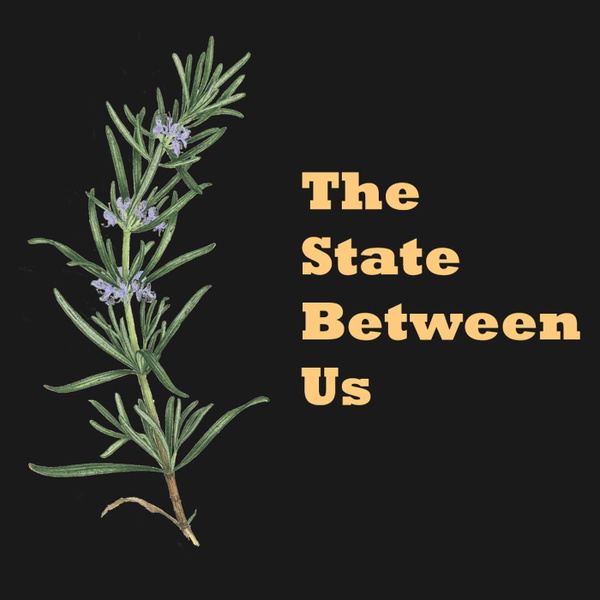 Artwork for The State Between Us