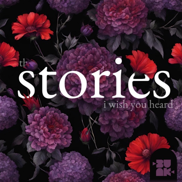 Artwork for the stories i wish you heard