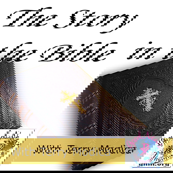 Artwork for The Story in the Bible