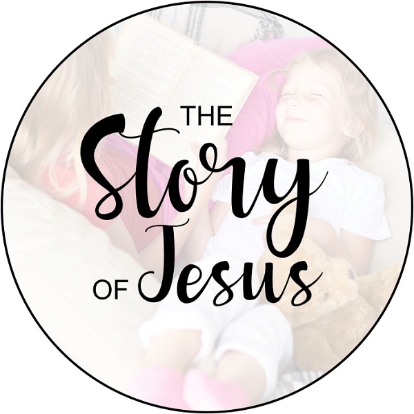 Artwork for The Story of Jesus