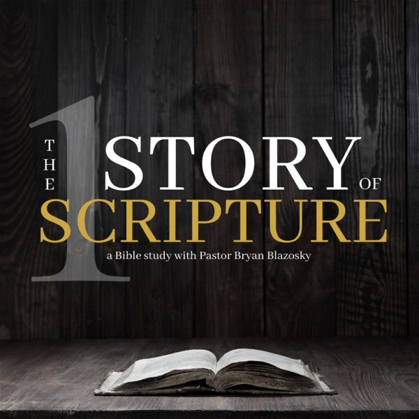 Artwork for The Story of Scripture
