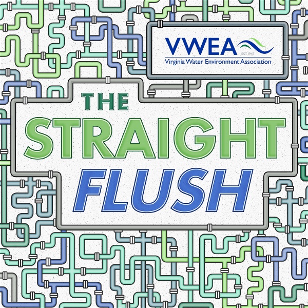 Artwork for The Straight Flush