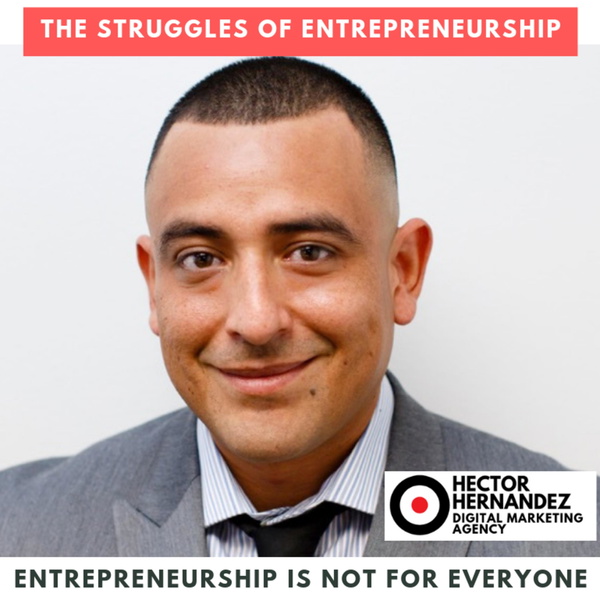 Artwork for The Struggles of Entrepreneurship