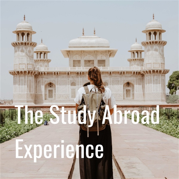 Artwork for The Study Abroad Experience
