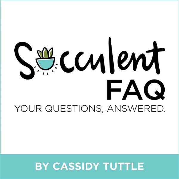 Artwork for The Succulent FAQ
