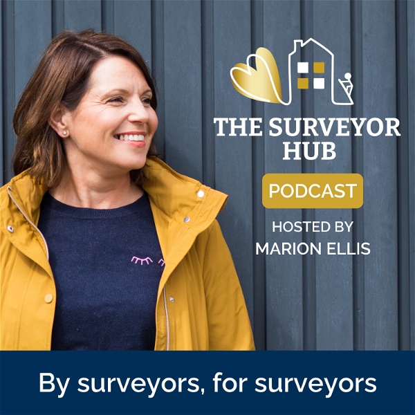 Artwork for The Surveyor Hub Podcast