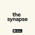 The Synapse