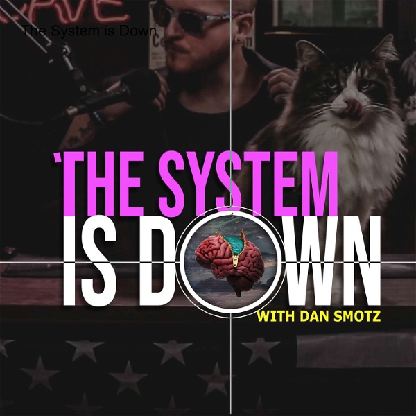 Artwork for The System is Down