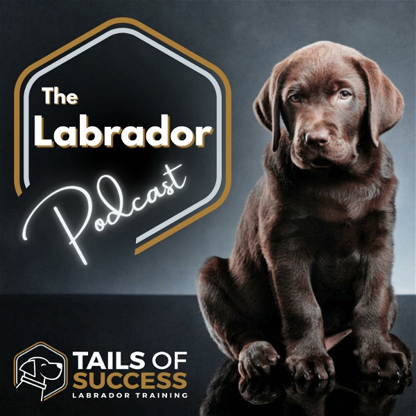 Artwork for The Labrador Podcast