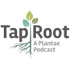 The Taproot