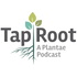 The Taproot