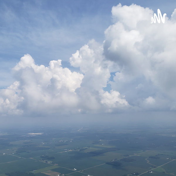 Artwork for The Tea In School