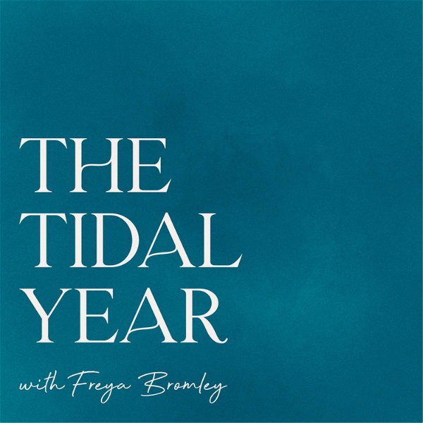 Artwork for The Tidal Year