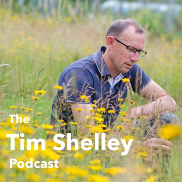 Artwork for The Tim Shelley Podcast