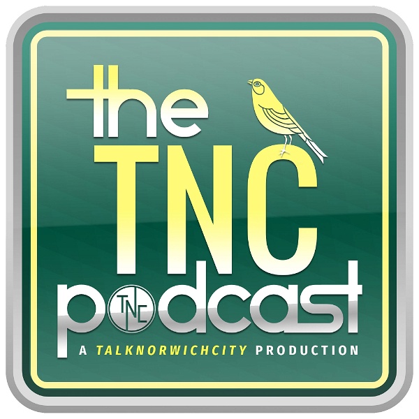 Artwork for The TNC Podcast