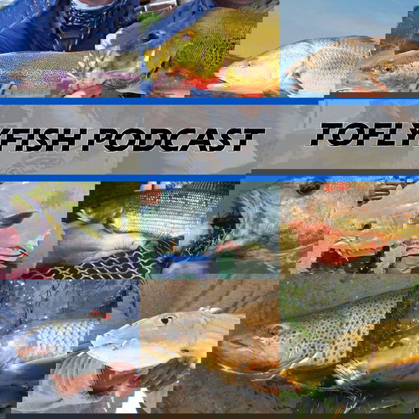 Artwork for The ToFlyFish Podcast: Improving the Fly Fishing Experience