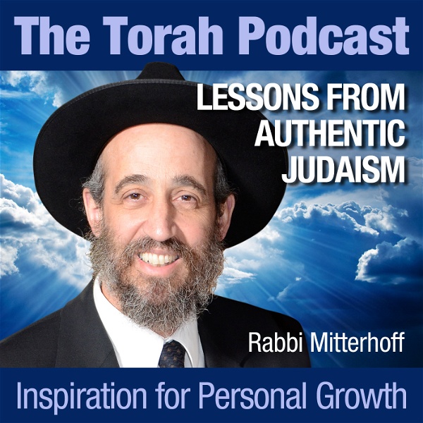 Artwork for The Torah Podcast