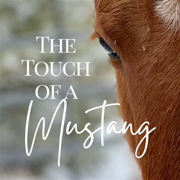 Artwork for The Touch of a Mustang