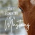 The Touch of a Mustang