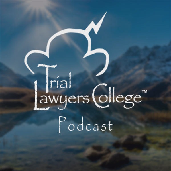 Artwork for The Trial Lawyers College Podcast