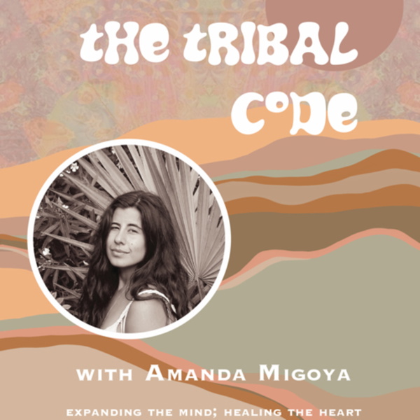 Artwork for The Tribal Code