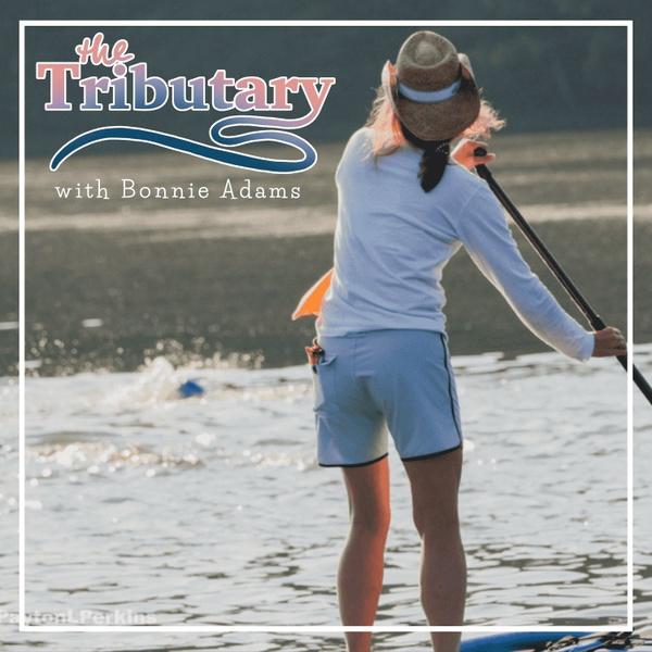 Artwork for The Tributary