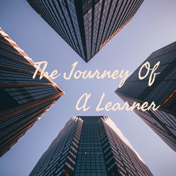 Artwork for The Trip Of Learner