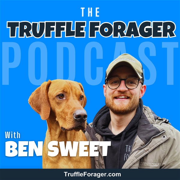 Artwork for The Truffle Forager Podcast