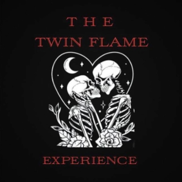 Artwork for The Twin Flame Experience and Beyond