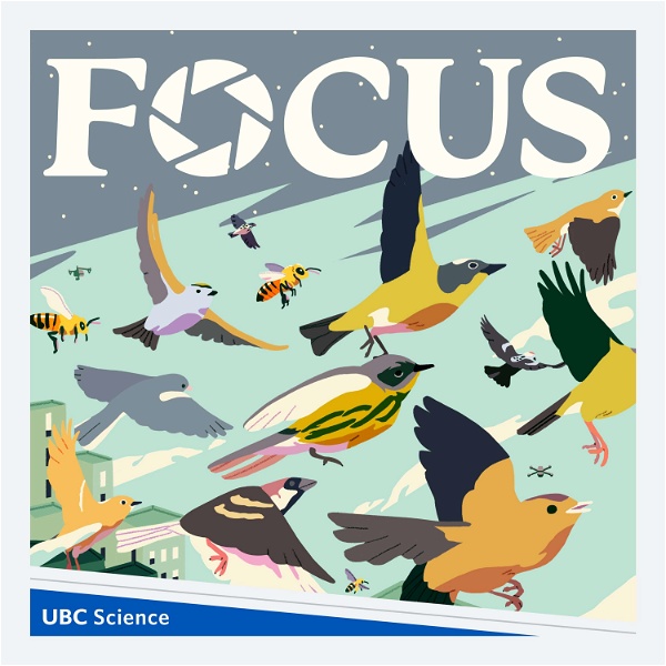 Artwork for The UBC Focus Podcast