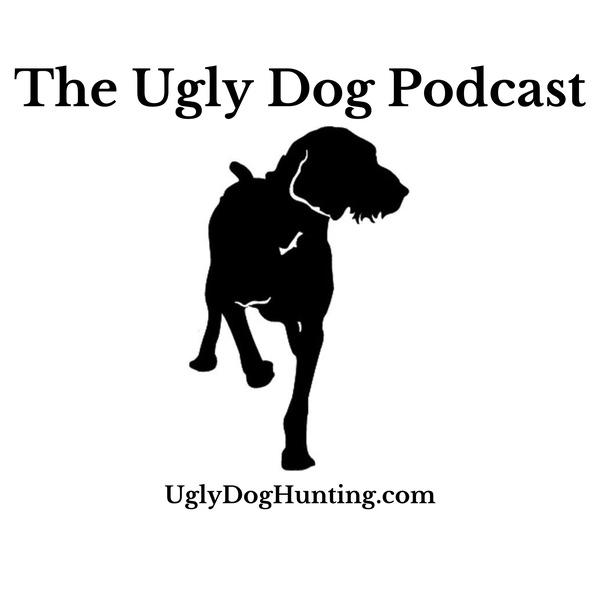 Artwork for The Ugly Dog Podcast