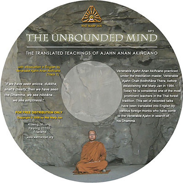 Artwork for The Unbounded Mind