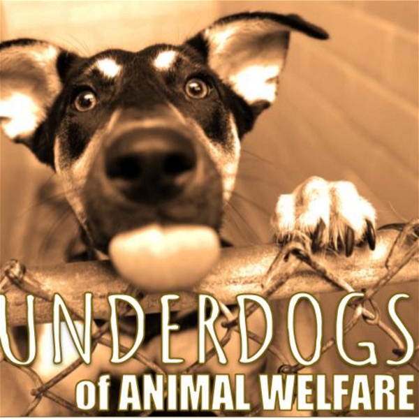 Artwork for The Underdogs of Animal Welfare