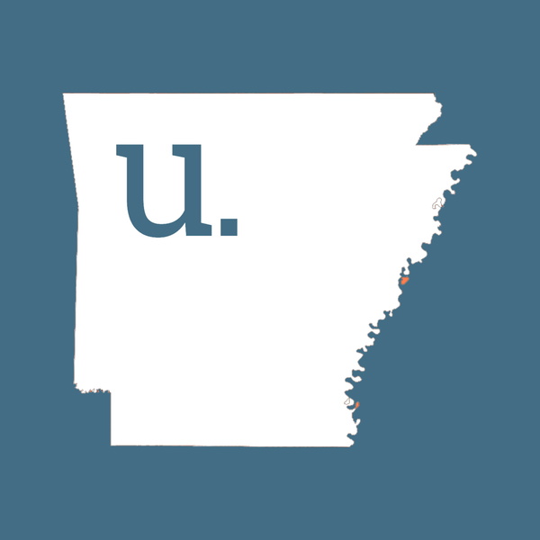 Artwork for the underview.