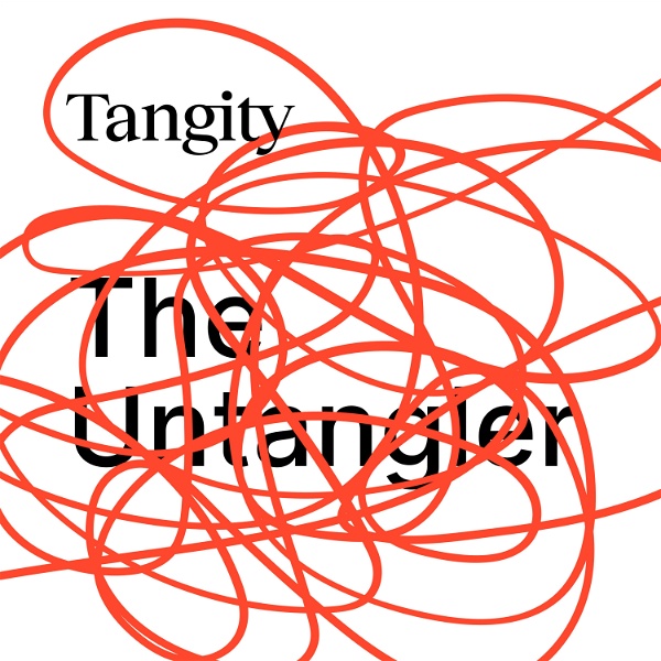 Artwork for The Untangler