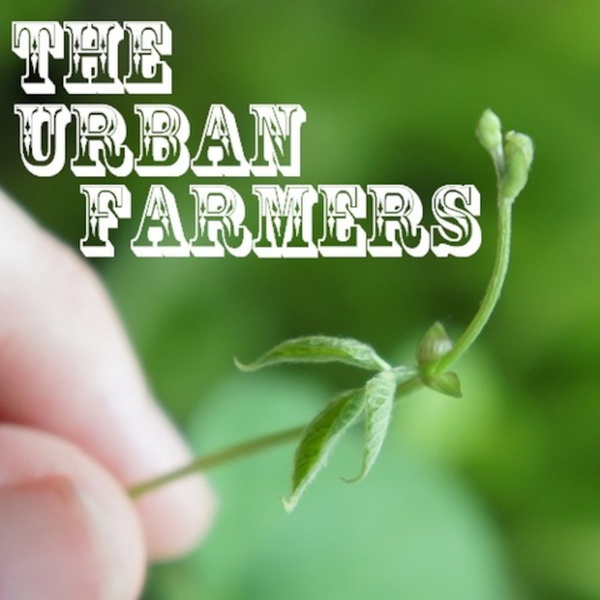 Artwork for The Urban Farmers Audio Diary