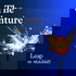 The Venture